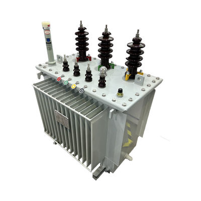 Dầu chìm Phân phối năng lượng Chuyển biến 250kva 3 giai đoạn ngoài trời 10kv đến 240v